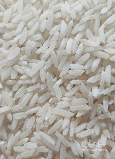 فروش برنج رستورانی فجر