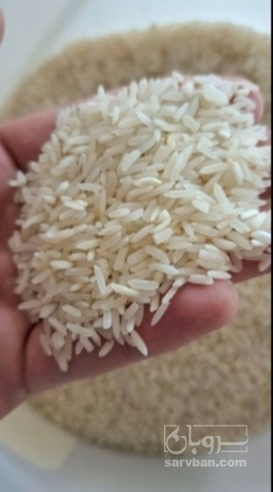 فروش برنج