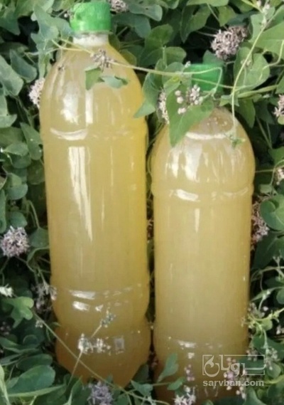 فروش آبغوره