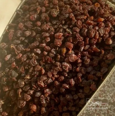 فروش کشمش ابگیری