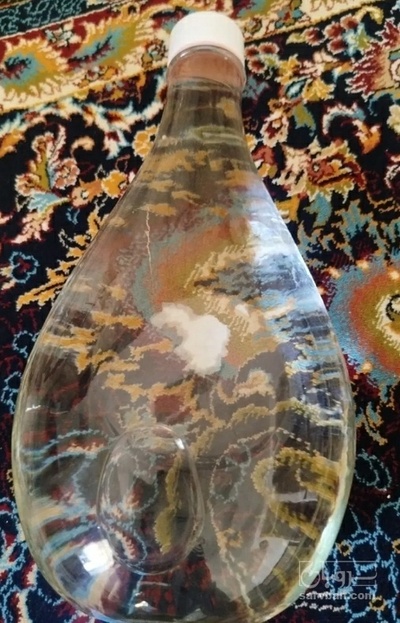 فروش عرق کاسنی