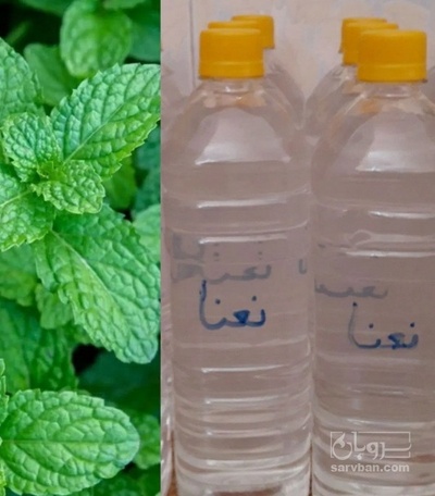 فروش عرق نعناع