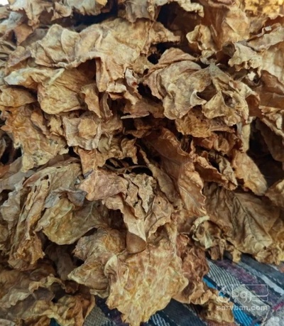 فروش توتون دو مزه