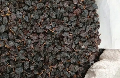 فروش مویز