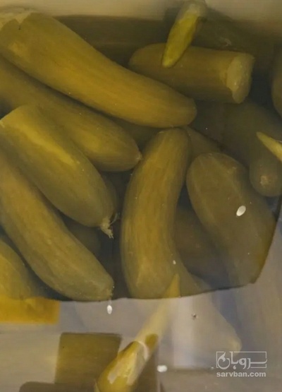 فروش خیار شور حلب
