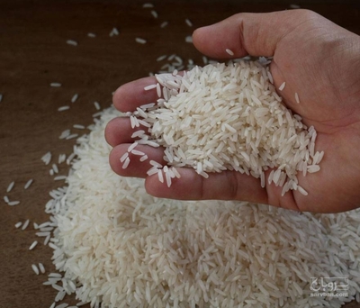 فروش برنج