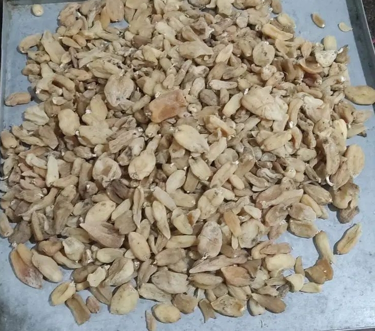 فروش ثعلب (گیاه‌ دارویی)