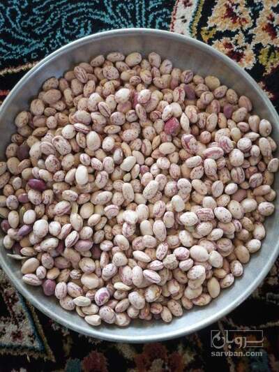 فروش لوبیا چیتی