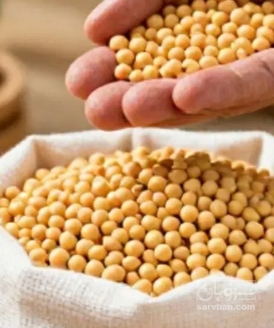فروش سویا