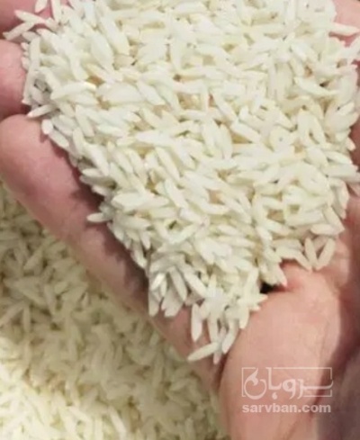 فروش برنج