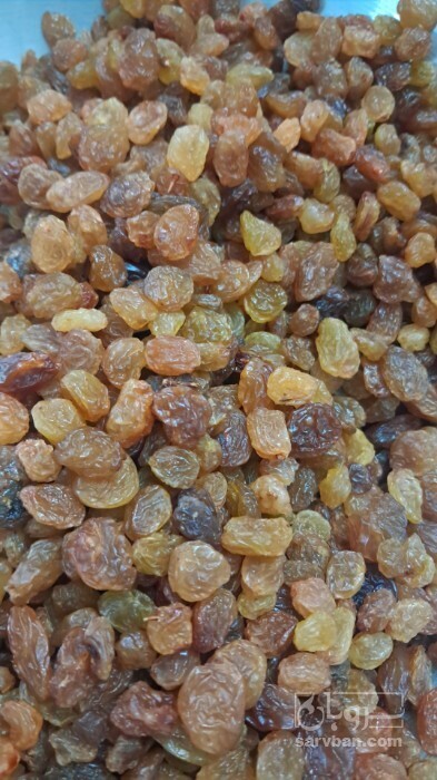 فروش کشمش