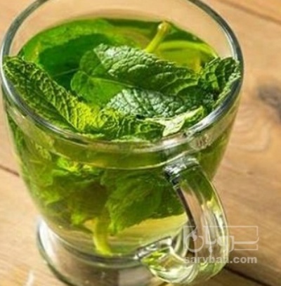 فروش عرق نعناع