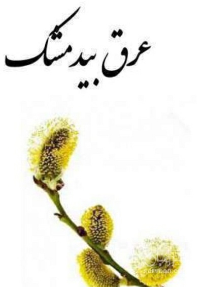 فروش بیدمشک (گیاه‌ دارویی)