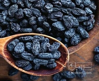 فروش مویز ریش بابا
