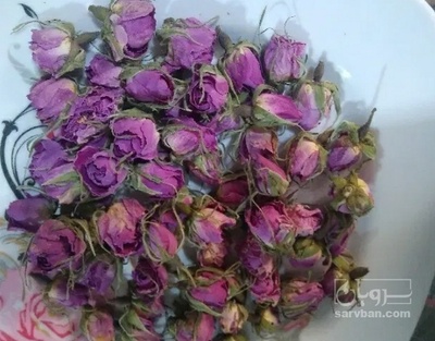 فروش غنچه گل محمدی (گیاه‌ دارویی)