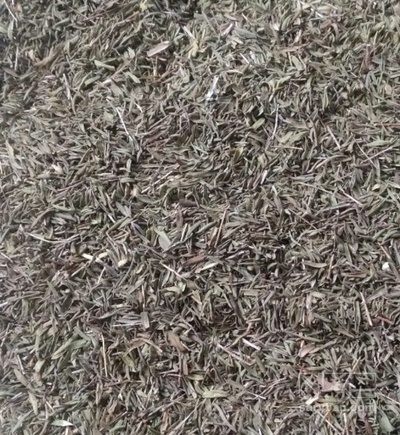 فروش آویشن خشک (گیاه‌ دارویی)