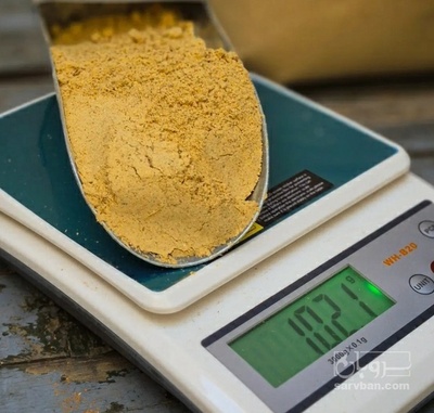 فروش پودر زنجبیل