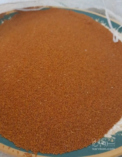 فروش خاکشیر (گیاه‌ دارویی)