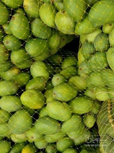 فروش انبه