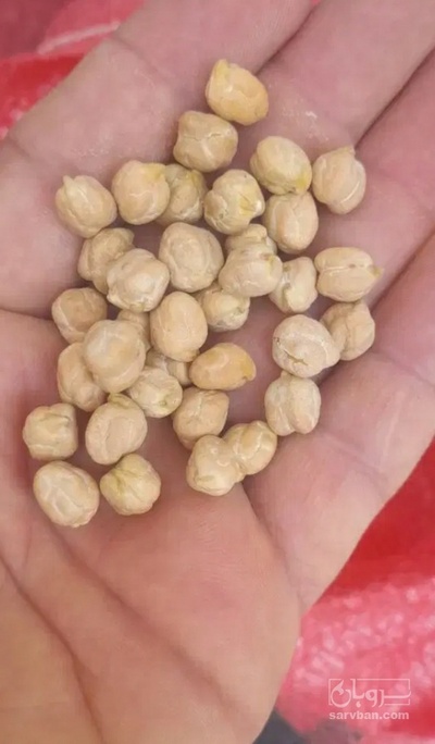 فروش نخود