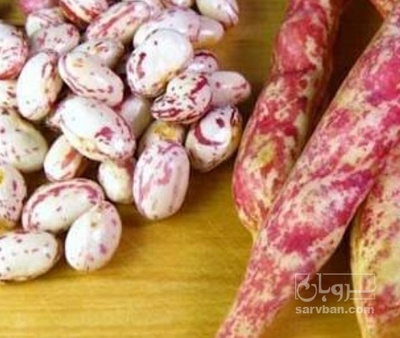 فروش لوبیا چیتی