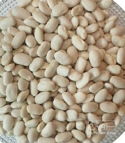 فروش لوبیا سفید
