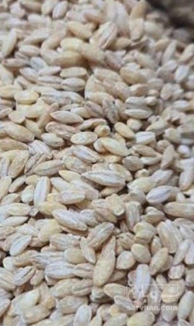 فروش جو پوست کنده