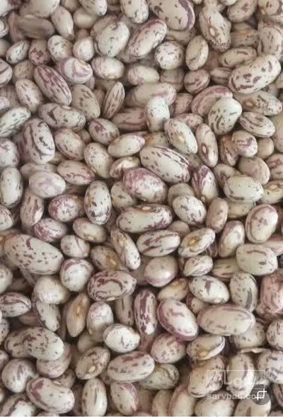 فروش لوبیا چیتی