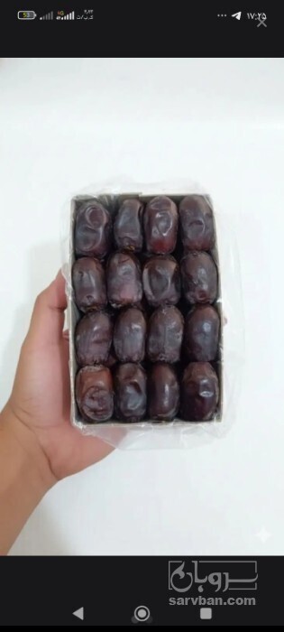 فروش خرما