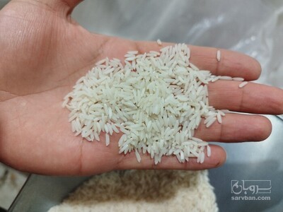 فروش برنج