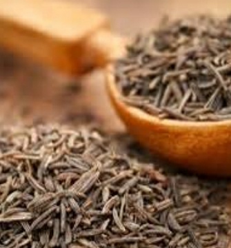 فروش زیره سیاه