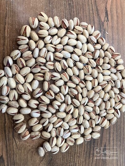 فروش پسته