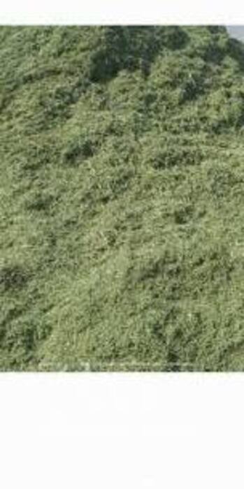 فروش یونجه