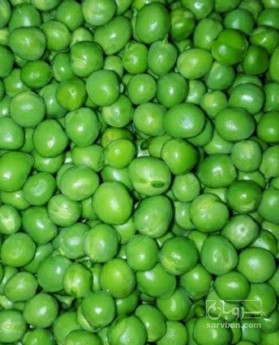فروش نخود فرنگی
