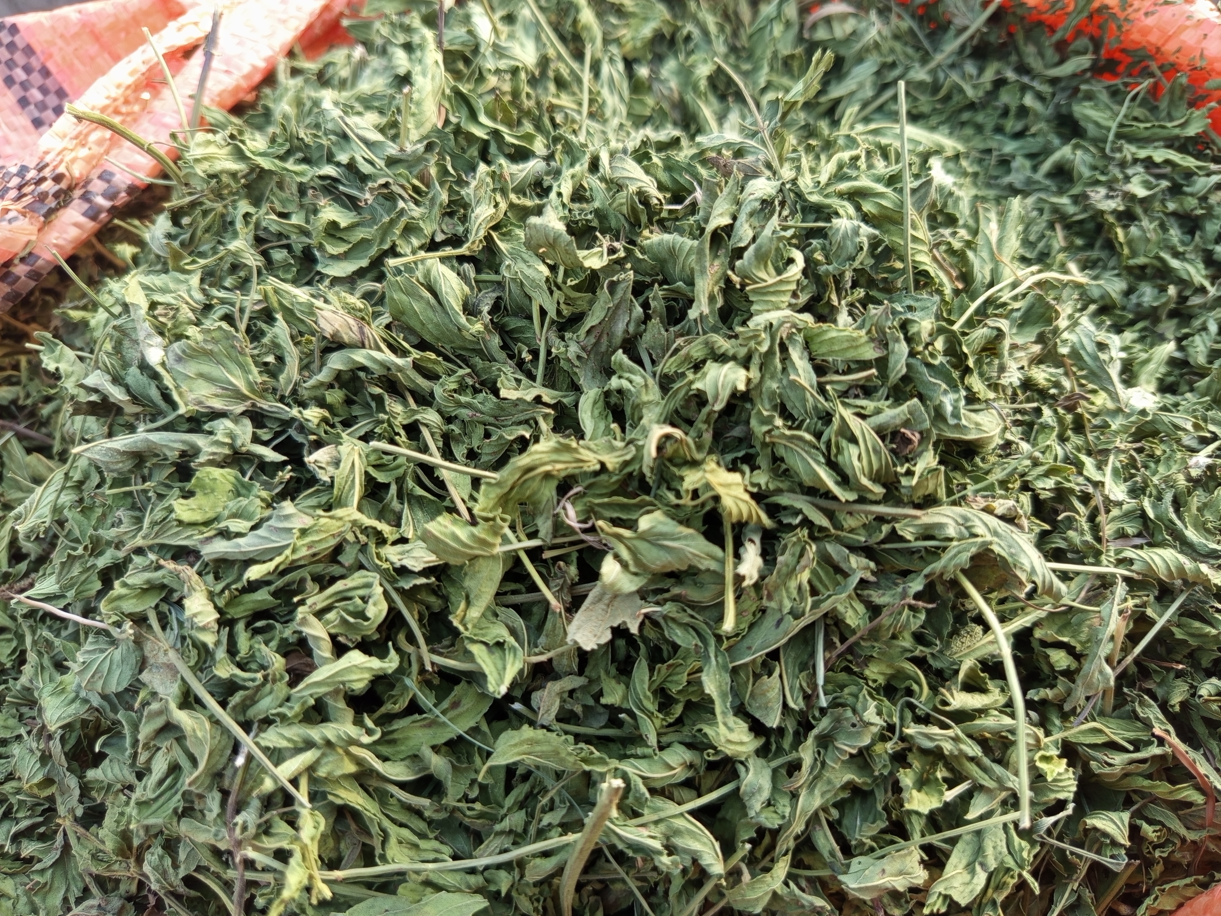 فروش نعناع خشک (گیاه‌ دارویی)