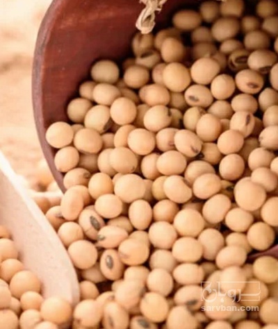 فروش سویا