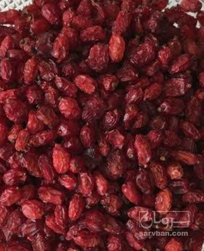 فروش زرشک