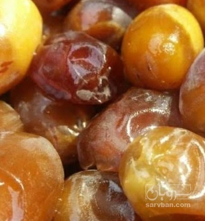 فروش رطب