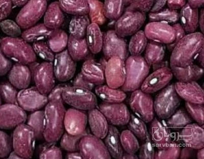 فروش لوبیا قرمز