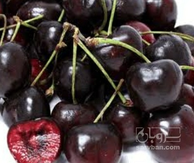 فروش گیلاس