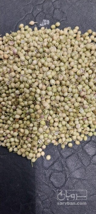 فروش پودر تخم گشنیز