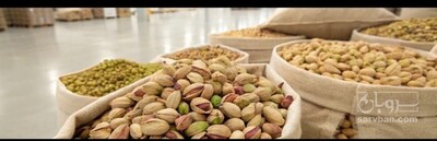فروش پسته