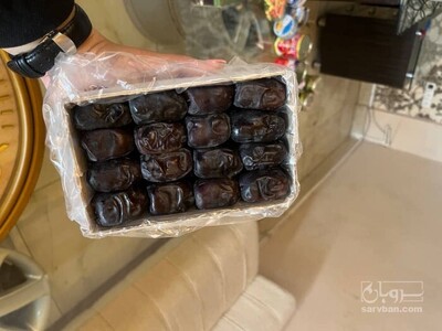 فروش خرما
