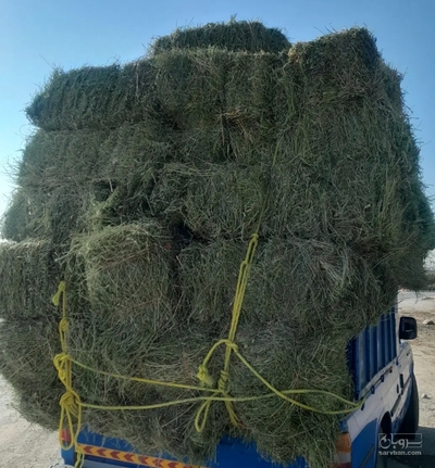 فروش یونجه