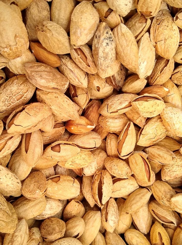 فروش بادام درختی