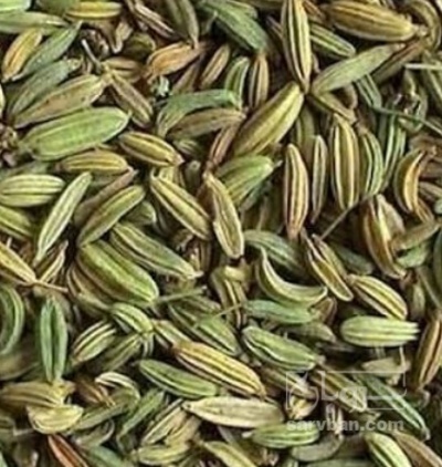 فروش زیره (گیاه‌ دارویی)