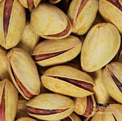 فروش پسته