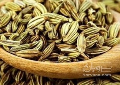 فروش زیره (گیاه‌ دارویی)