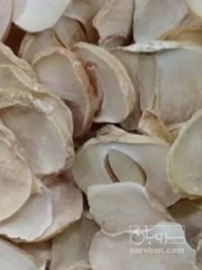 فروش موسیر