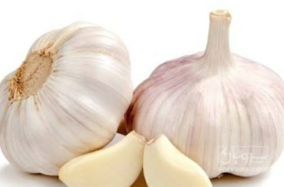 فروش سیر